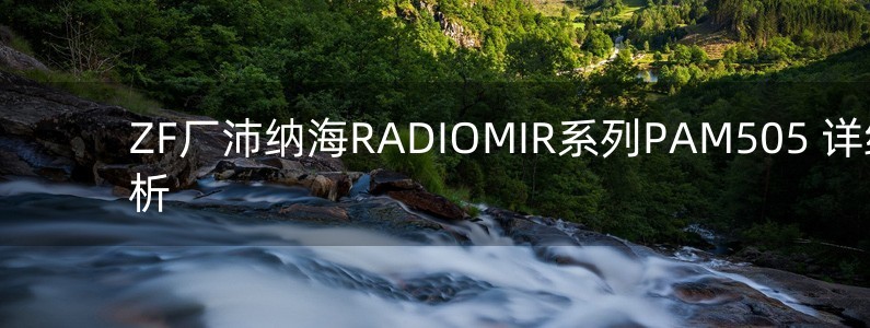 ZF厂沛纳海RADIOMIR系列PAM505 详细解析